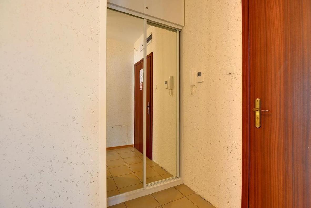 Sun Seasons 24 - Pod świerkami